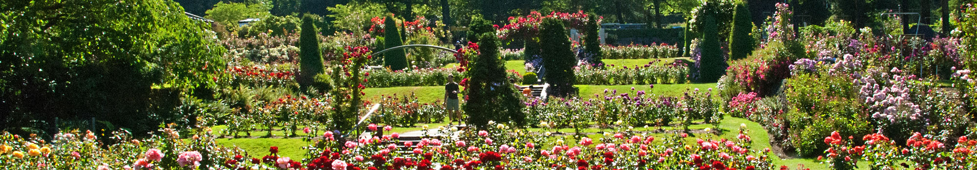 Portland Rose Garden